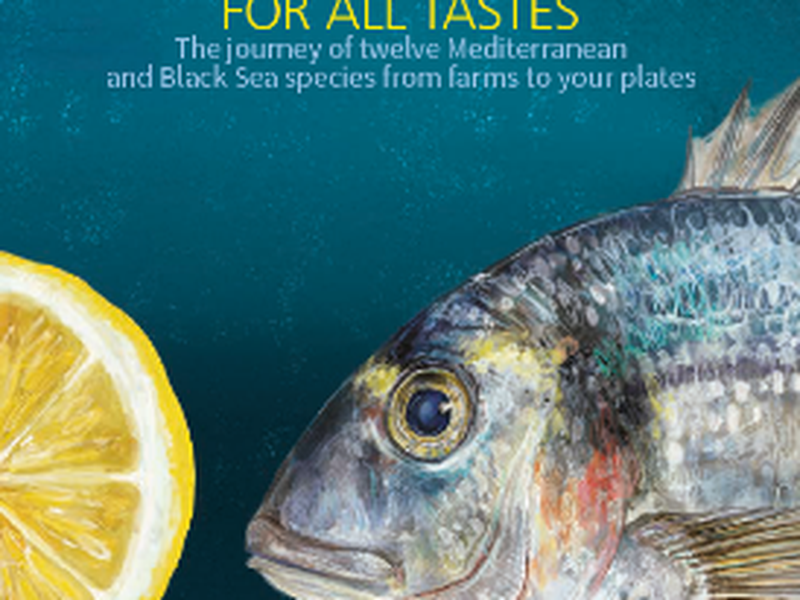 Guide promoting 12 species from sustainable aquaculture in Mediterranean countries