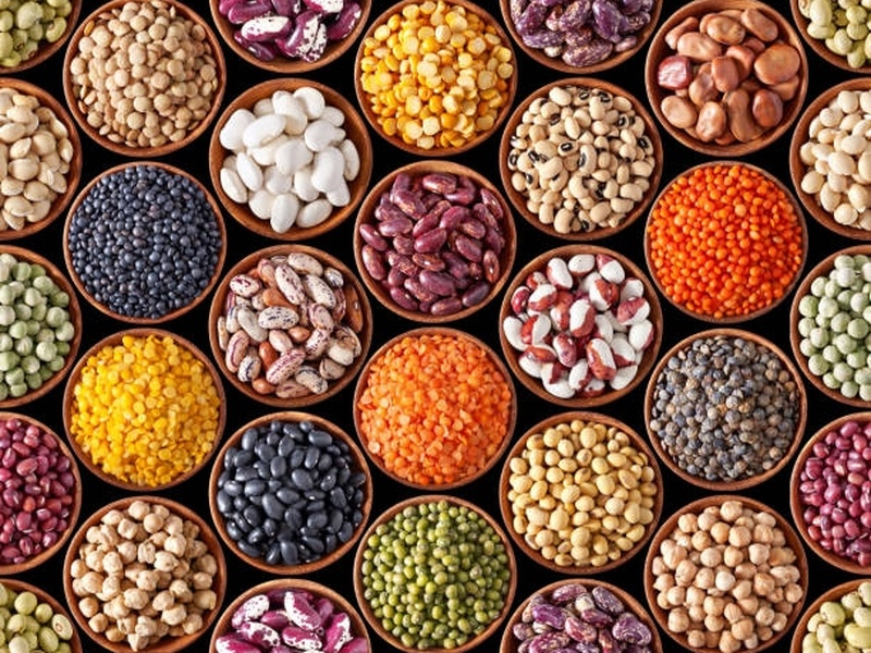 Generating recipe ideas using legumes